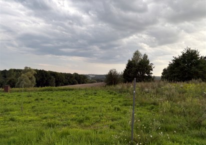 działka na sprzedaż - Gorzyce, Turza Śląska