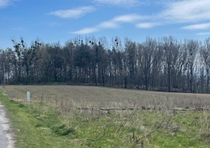 działka na sprzedaż - Gorzyce, Turza Śląska