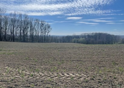działka na sprzedaż - Gorzyce, Turza Śląska