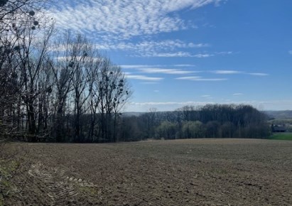 działka na sprzedaż - Gorzyce, Turza Śląska
