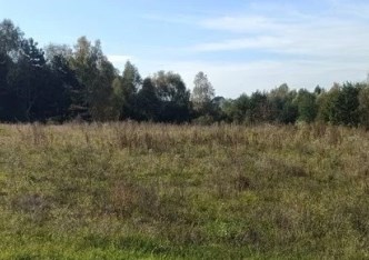 działka na sprzedaż - Wodzisław Śląski