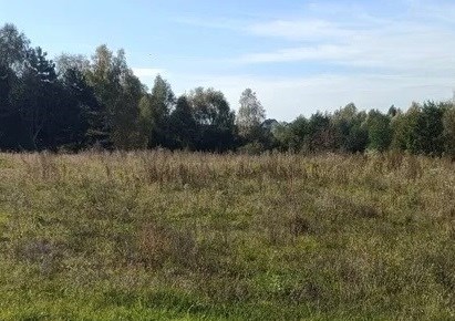 działka na sprzedaż - Wodzisław Śląski
