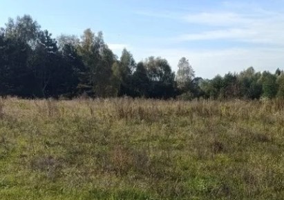 działka na sprzedaż - Wodzisław Śląski