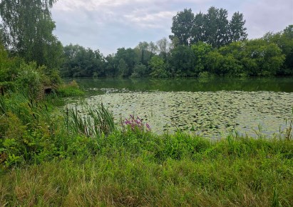 dom na sprzedaż - Bodzanów, Białobrzegi