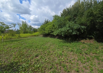 działka na sprzedaż - Płock, Borowiczki-Parcele