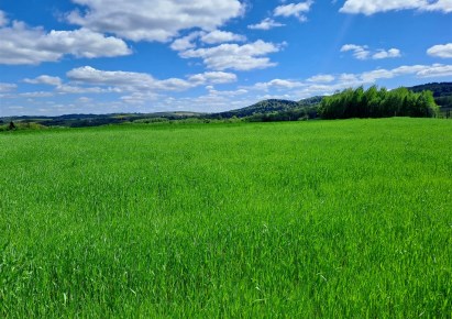 działka na sprzedaż - Brzeziny