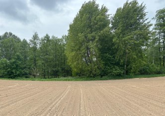 działka na sprzedaż - Pszczyna (gw), Studzionka