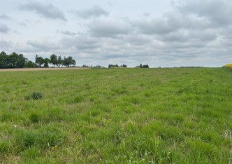 działka na sprzedaż - Pszczyna (gw), Studzionka