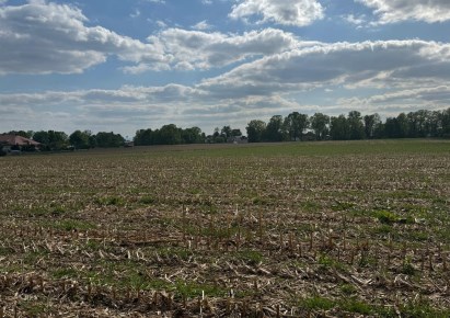 działka na sprzedaż - Pszczyna (gw), Wisła Wielka