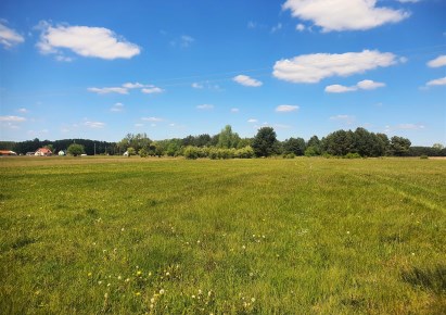 działka na sprzedaż - Turośń Kościelna, Baciuty