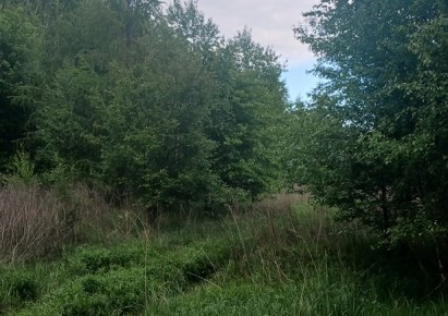 działka na sprzedaż - Godów, Gołkowice