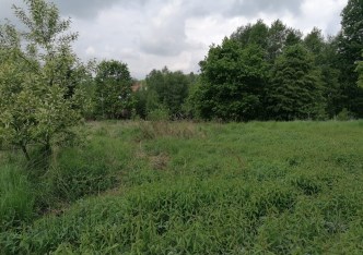 działka na sprzedaż - Orzesze, Jaśkowice