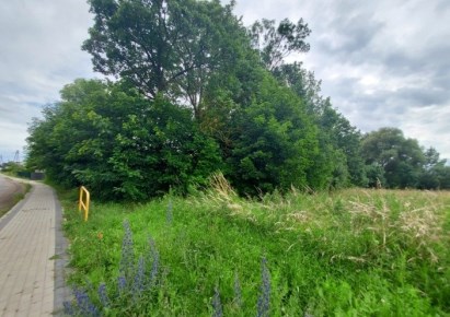 działka na sprzedaż - Kozielice, Tetyń