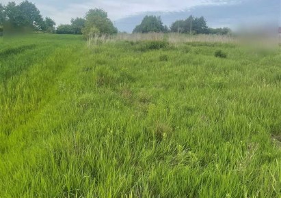 działka na sprzedaż - Wodzisław Śląski, Turzyczka