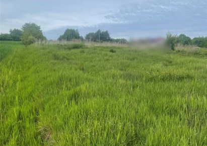 działka na sprzedaż - Wodzisław Śląski, Turzyczka