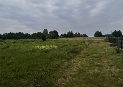 działka na sprzedaż - Wodzisław Śląski, Turzyczka