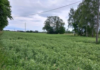 działka na sprzedaż - Jastrzębie-Zdrój, Szeroka