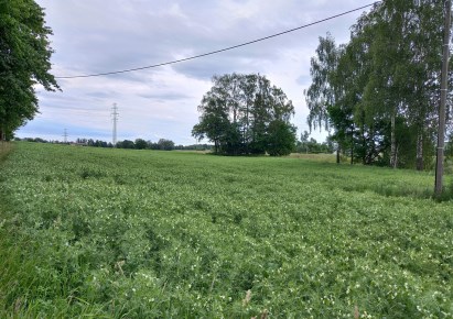 działka na sprzedaż - Jastrzębie-Zdrój, Szeroka