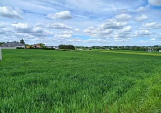 działka na sprzedaż - Jastrzębie-Zdrój, Borynia