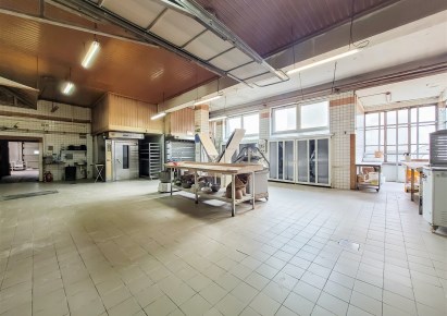 zaklad_produkcyjny na sprzedaż - Imielin