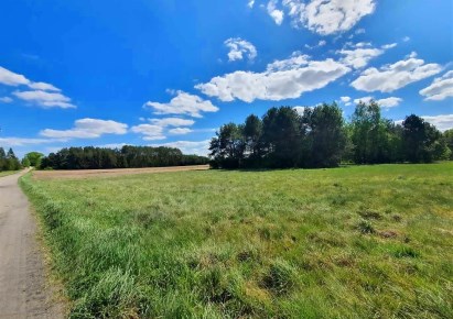 działka na sprzedaż - Turośń Kościelna, Baciuty