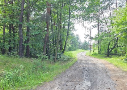 działka na sprzedaż - Rybnik, Golejów