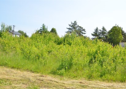 działka na sprzedaż - Mierzęcice