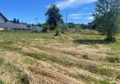 działka na sprzedaż - Wodzisław Śląski, Turzyczka