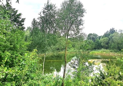 działka na sprzedaż - MOŃKI, Hornostaje