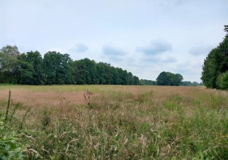 działka na sprzedaż - Chybie, Mnich