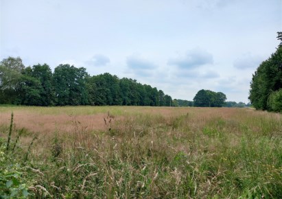 działka na sprzedaż - Chybie, Mnich