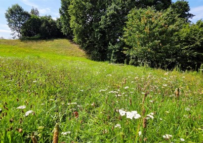działka na sprzedaż - Świerklany, Jankowice