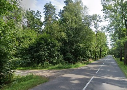działka na sprzedaż - Czerwionka-Leszczyny (gw), Szczejkowice