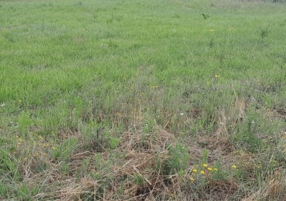 działka na sprzedaż - Rzeszów