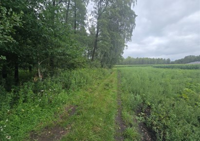działka na sprzedaż - Brudzeń Duży, Siecień-Rumunki