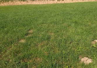 działka na sprzedaż - Rzeszów