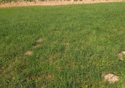 działka na sprzedaż - Rzeszów