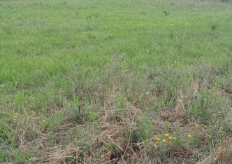 działka na sprzedaż - Rzeszów