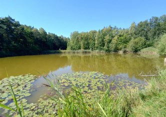 działka na sprzedaż - Rybnik