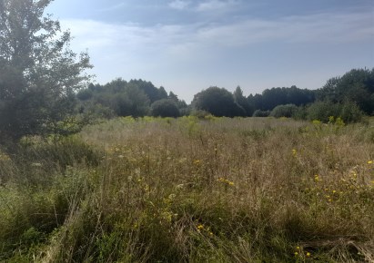 działka na sprzedaż - Wasilków, Dąbrówki