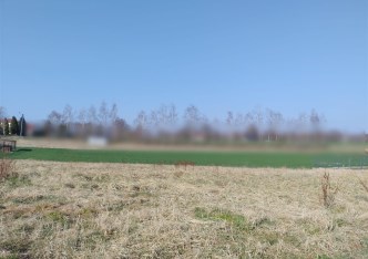 działka na sprzedaż - Mszana, Połomia