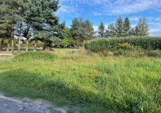 działka na sprzedaż - Godów, Skrzyszów