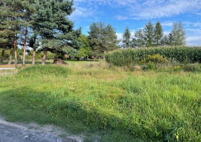działka na sprzedaż - Godów, Skrzyszów