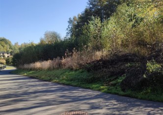 działka na sprzedaż - Żory, Rogoźna