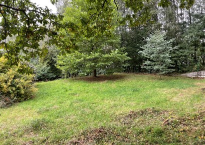 działka na sprzedaż - Wodzisław Śląski