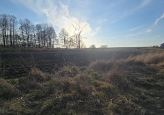 działka na sprzedaż - Gostynin (gw), Strzałki