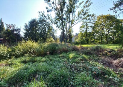 działka na sprzedaż - Pszczyna (gw), Studzionka