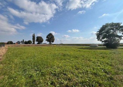 działka na sprzedaż - Pszczyna (gw), Wisła Wielka