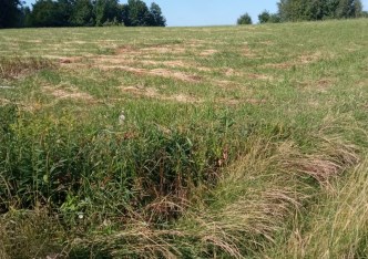 działka na sprzedaż - Rzeszów