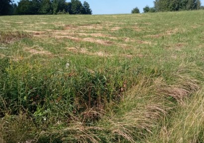 działka na sprzedaż - Rzeszów